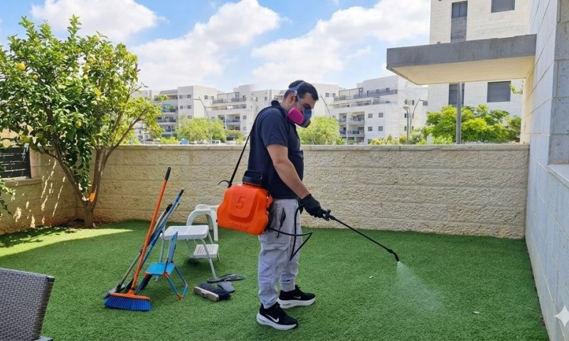 הדברה ירוקה לבית ולחצר: איך לבחור מדביר עם רישיון וחומרים מאושרים