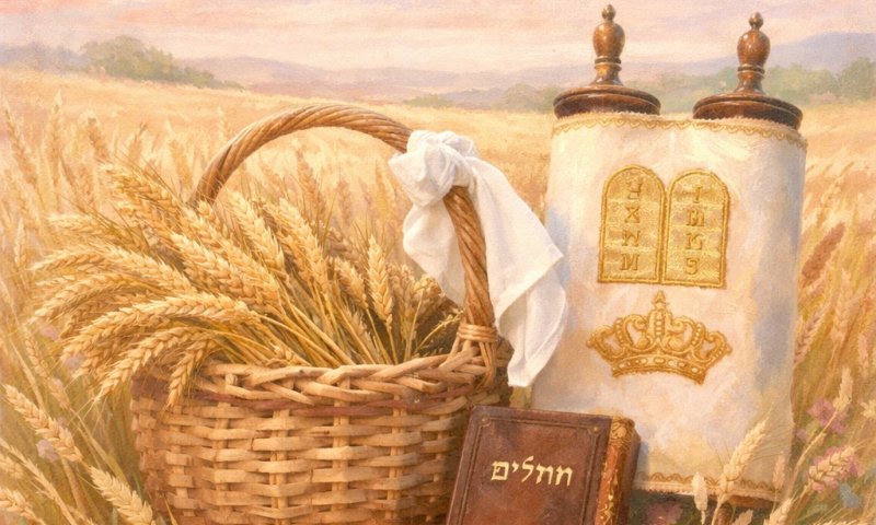 ראיון מרגש עם גיורת הצדק: "בקשת התורה היא משהו עמוק בנשמה, בבקשה שלא יקחו לכם אותה" (להאזנה)