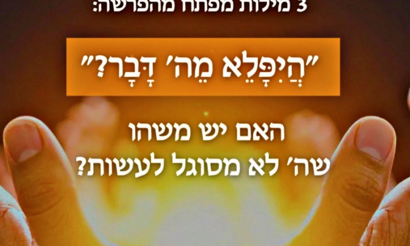 שלוש מילים - שפורצות גבול / סיון רהב-מאיר