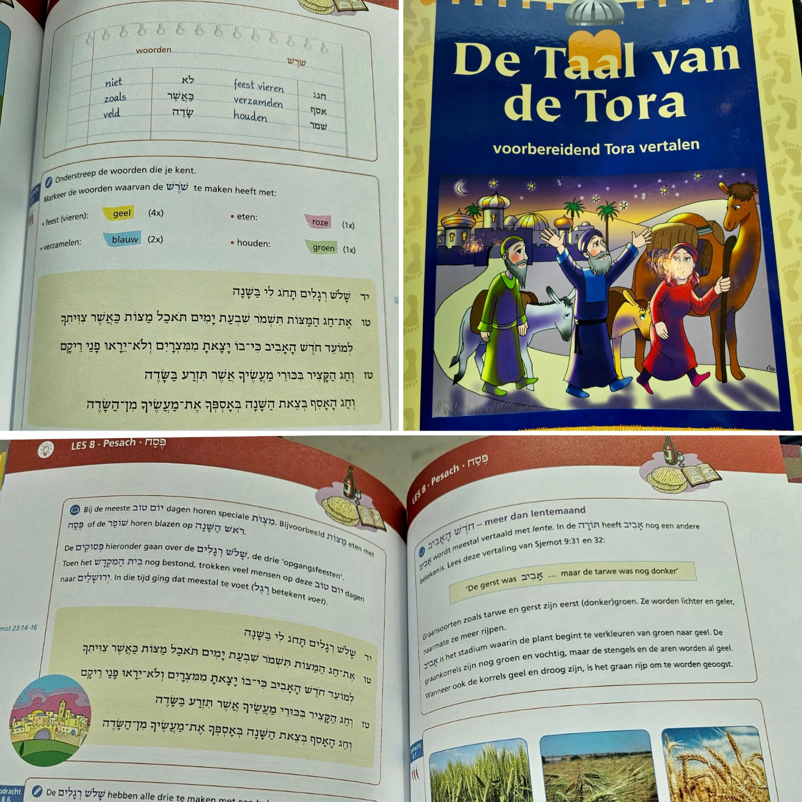 צילום - סיון רהב מאיר