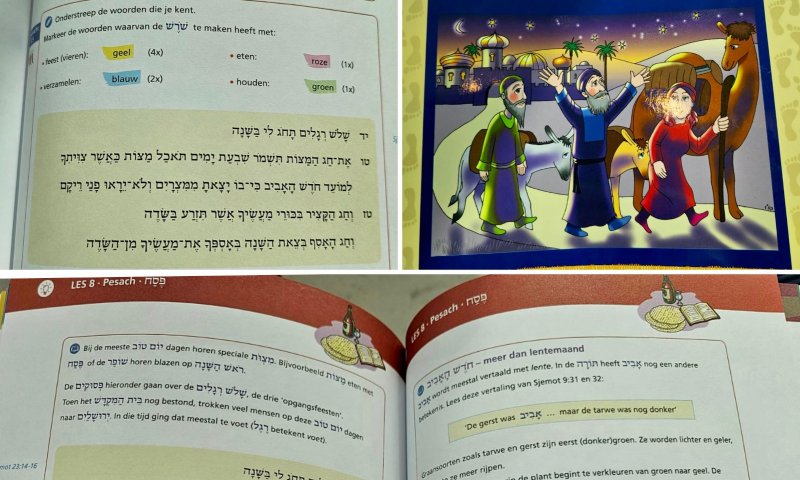 פסח לראשונה בגיל 30 | סיון רהב-מאיר