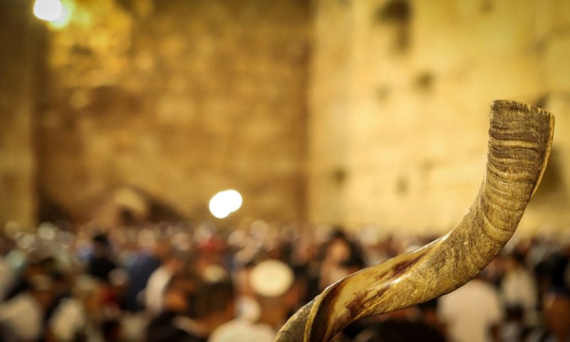כשהשופר מדבר, העולם מקשיב | סיון רהב-מאיר