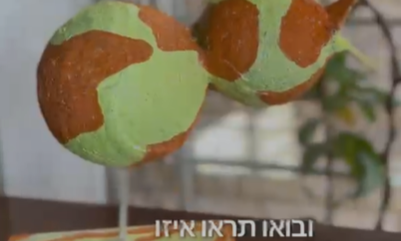 בואו נכין עם הילדים ציפור מהממת מכדורי קלקר וגבס