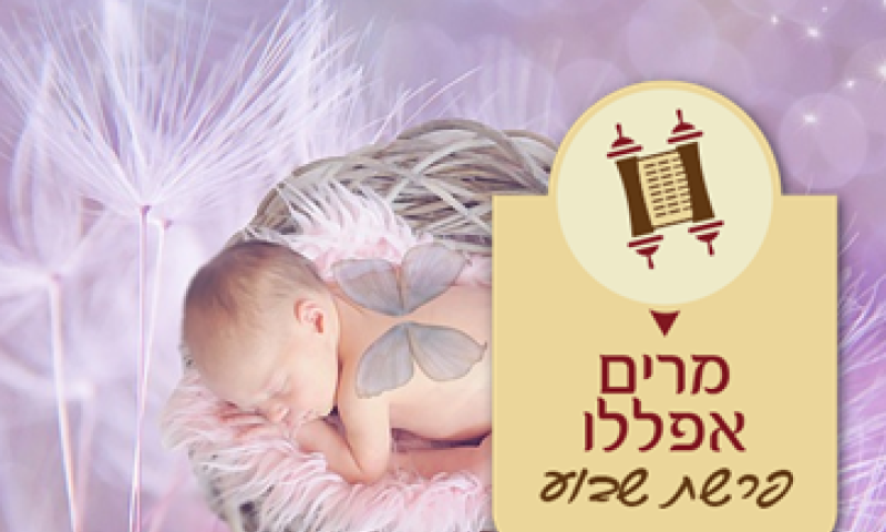 מרים אפללו על פרשת שמות-שכר לא נורמלי