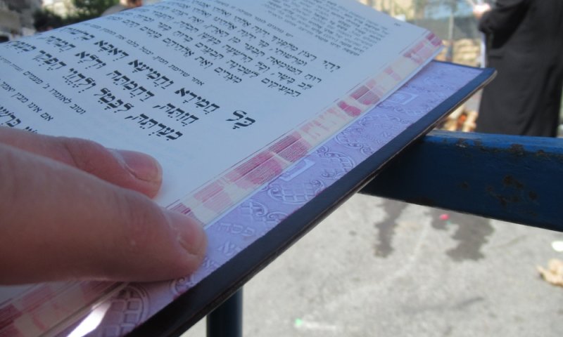 "מבצע ביעור חמץ" - בבית שלנו, בנפש שלנו, מול האויב | סיון רהב-מאיר