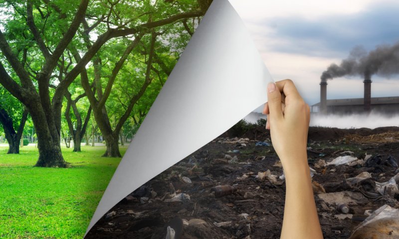 מלצרית? בשבילי סטטוס קוו בבקשה :) | אלישבע רז