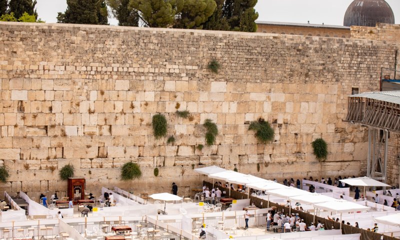 תבכי על זה, אישה / נעמה