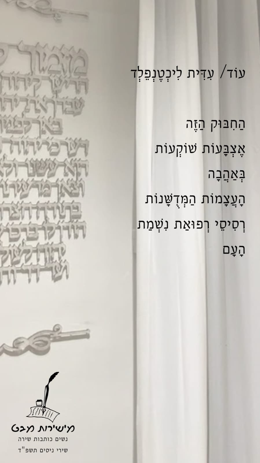 מישירות מבט