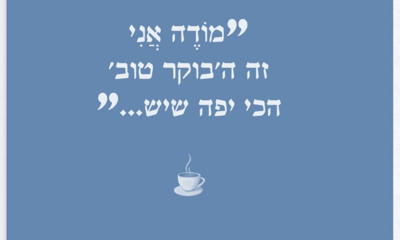 התודה הראשונה בעולם / סיון רהב מאיר