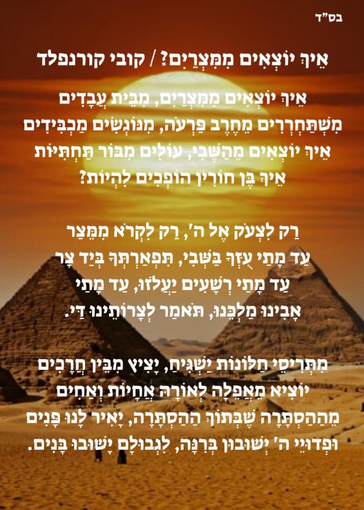 קובי קורנפלד