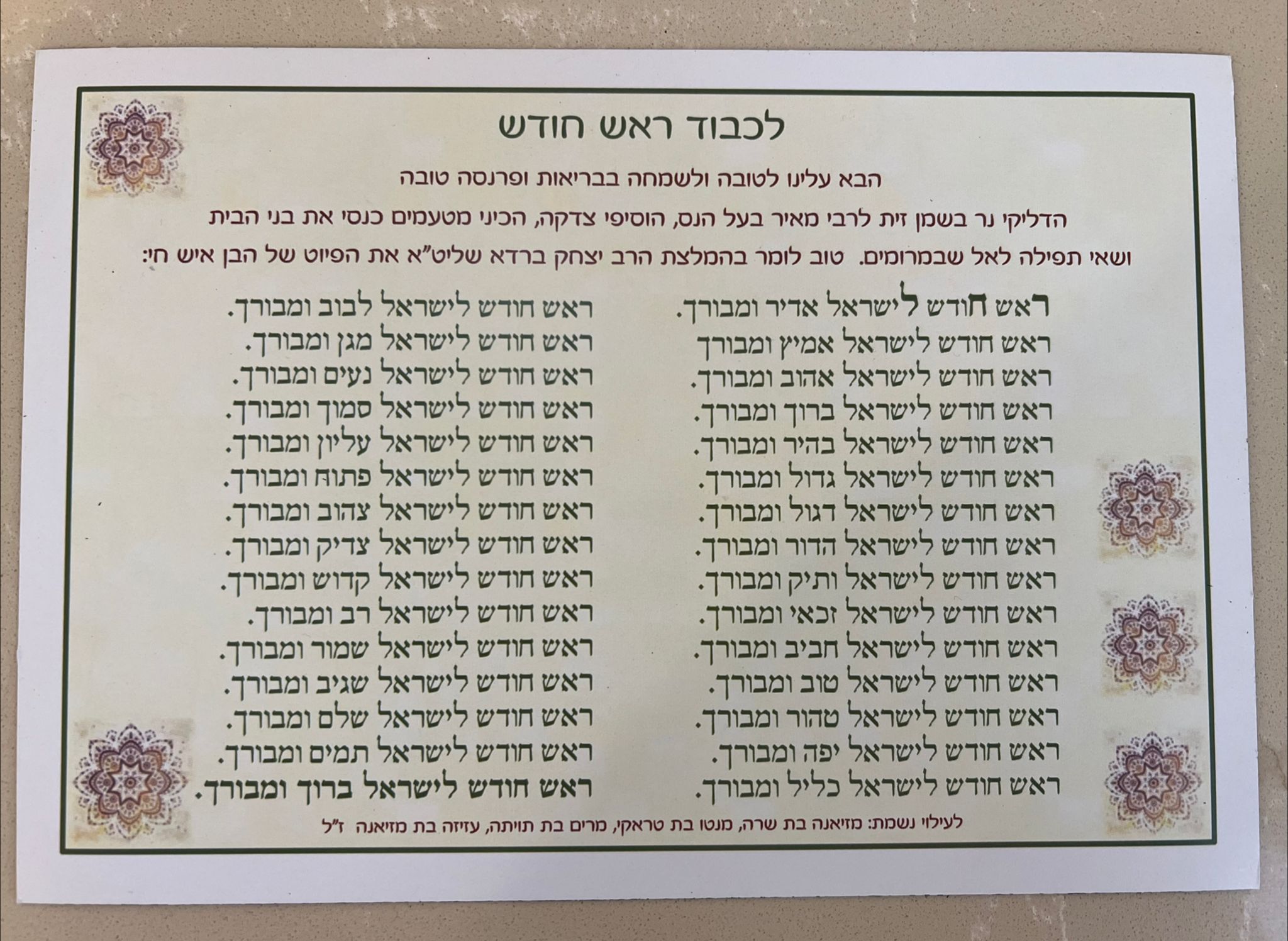 ציפי סבג