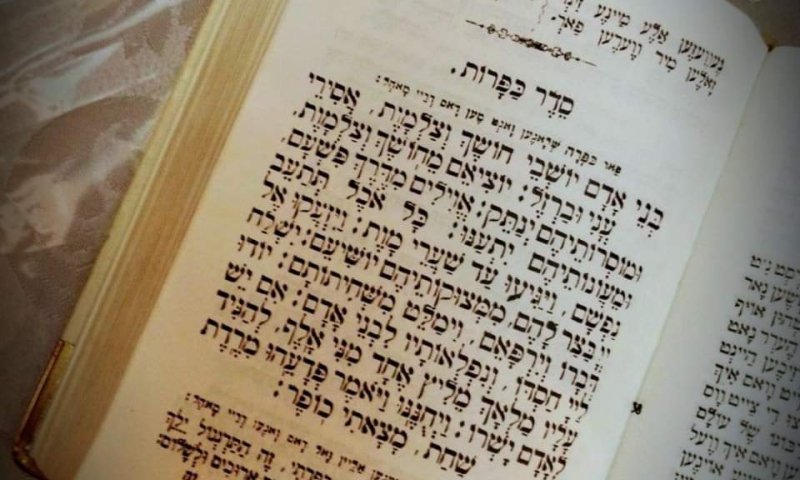 זו כפרתה | דסי זייבלד בטור מציף בדמעות