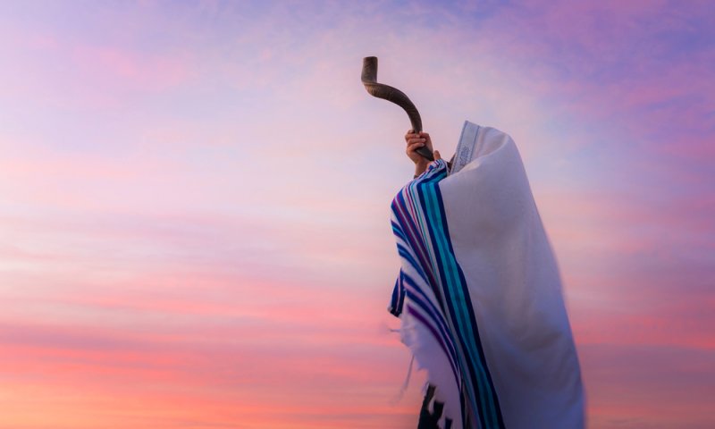 אֶרֶץ צְבִי | עידית ליכטנפלד