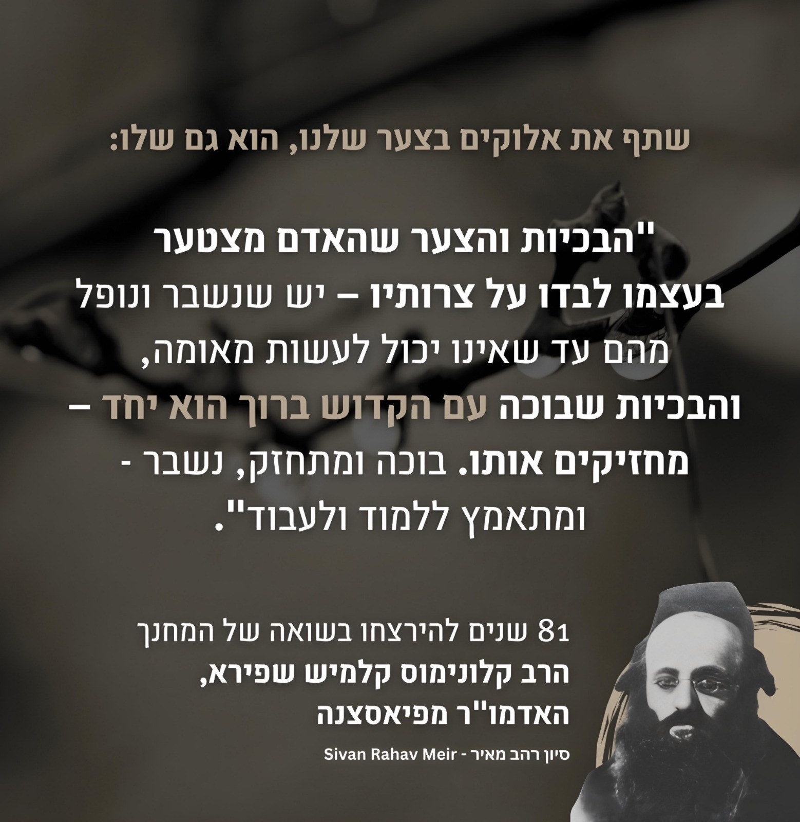 סיון רהב מאיר