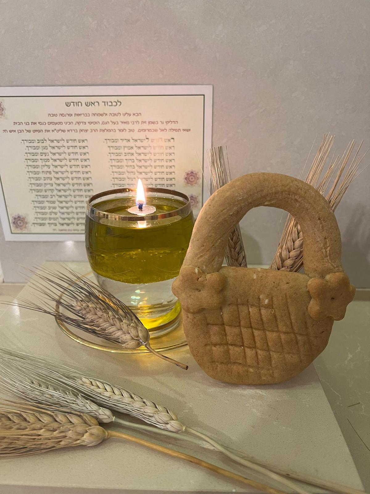 ציפי סבג