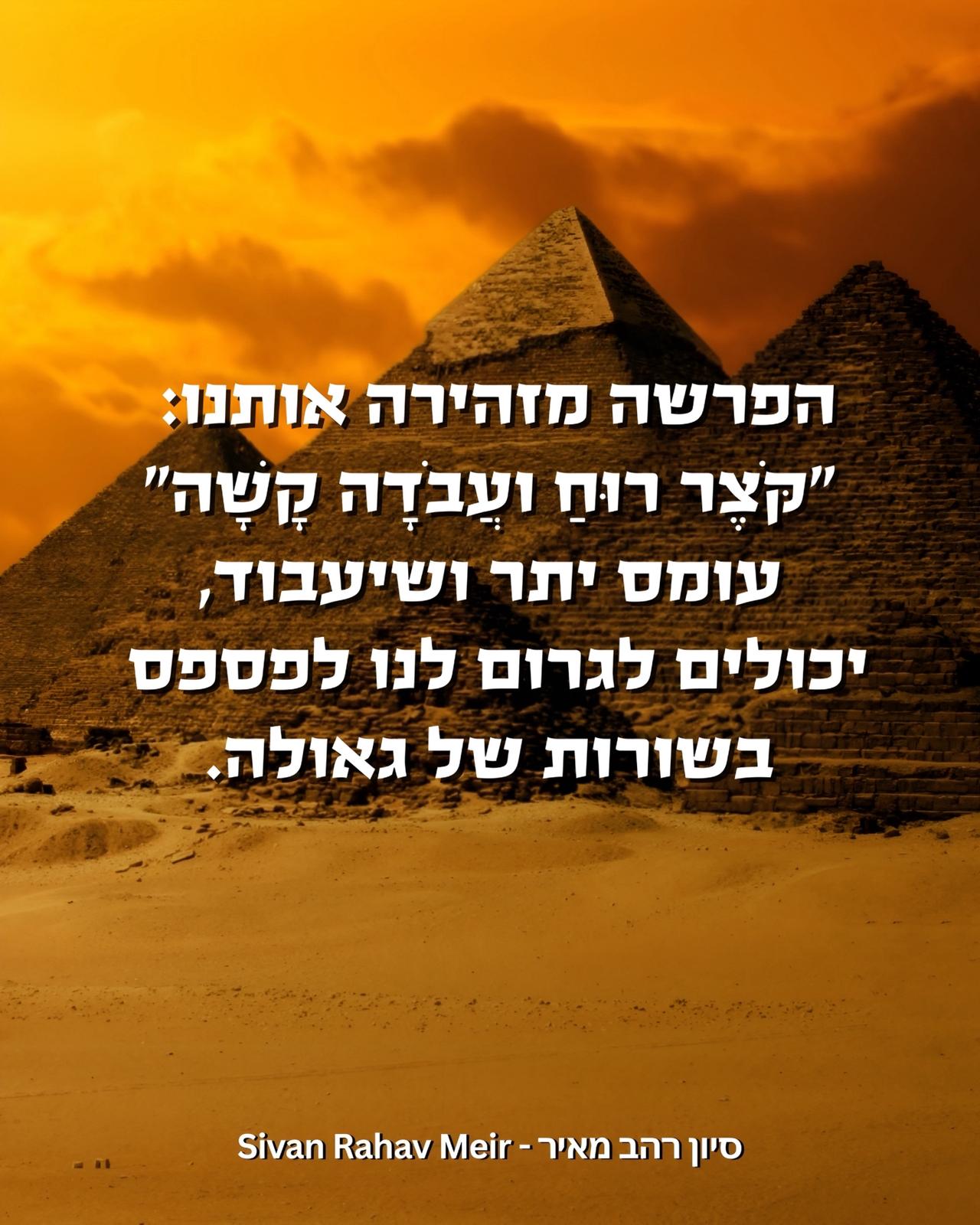 סיון רהב מאיר