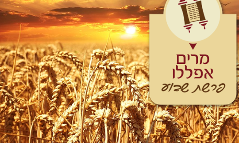 מרים אפללו : בשדה ובבית קבלת התורה בחיים