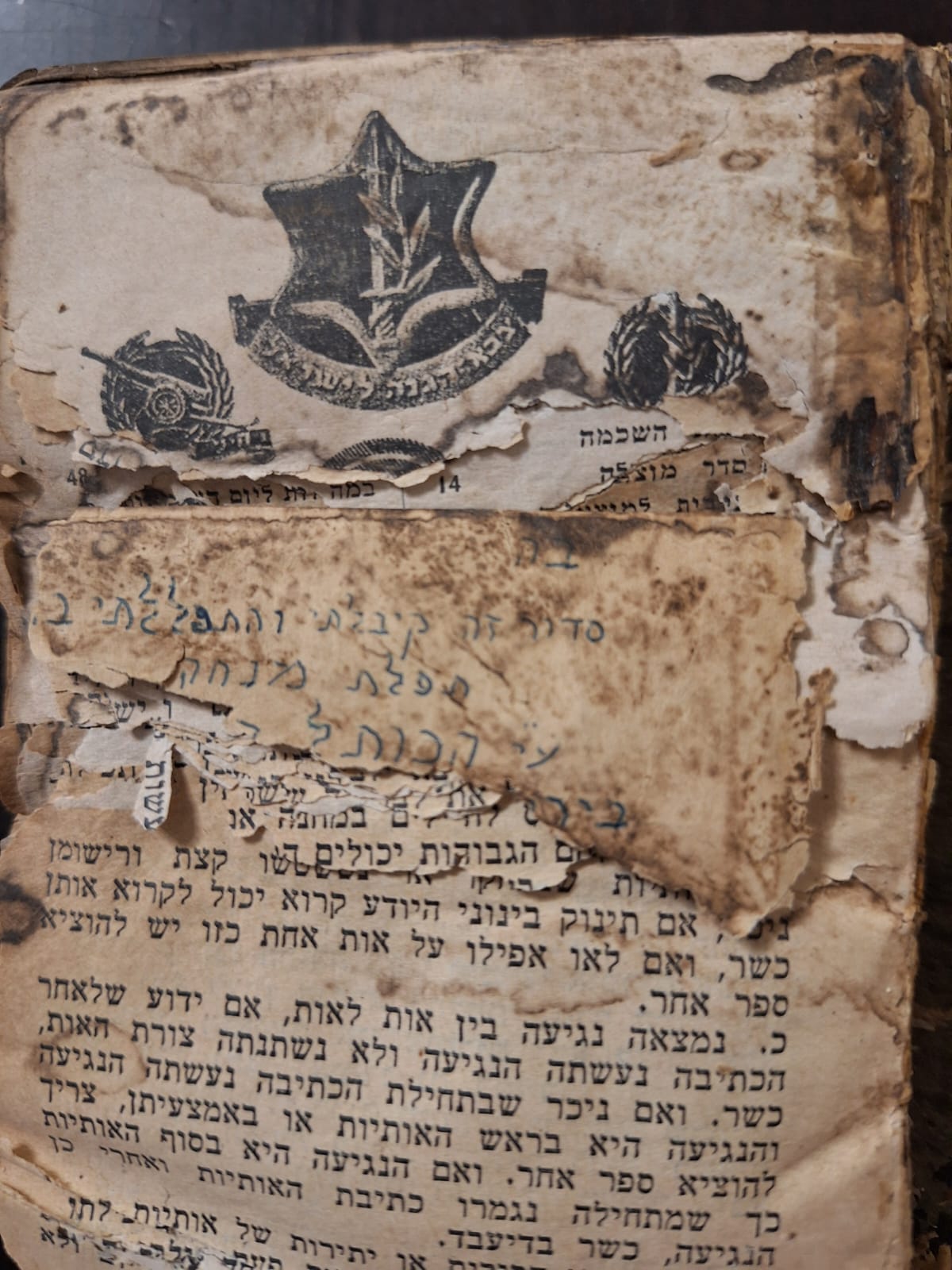 משפחת זילברשלג