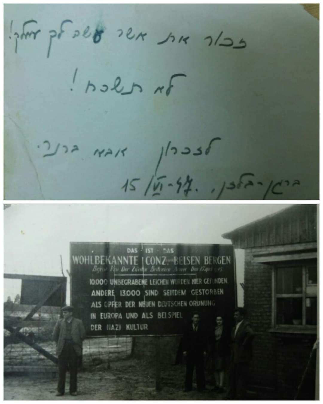 דסי זייבלד