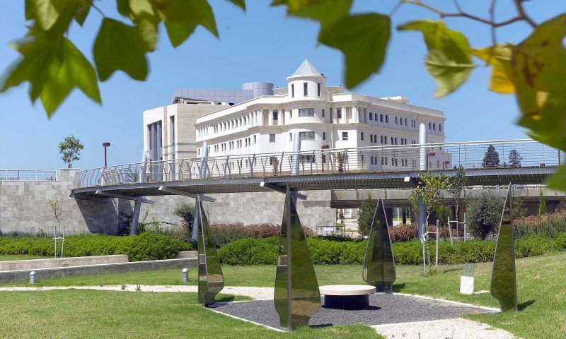 פסיכולוגית, אנליסטית או מומחית בחינוך מיוחד בעולם החרדי?