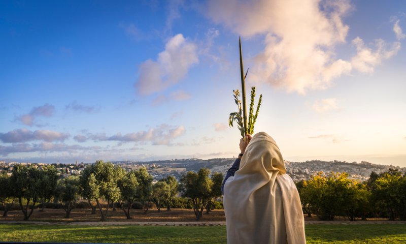 אם אתה חרדי | אפרת ברזל בהקראת טור, מיוחד לחג הסוכות