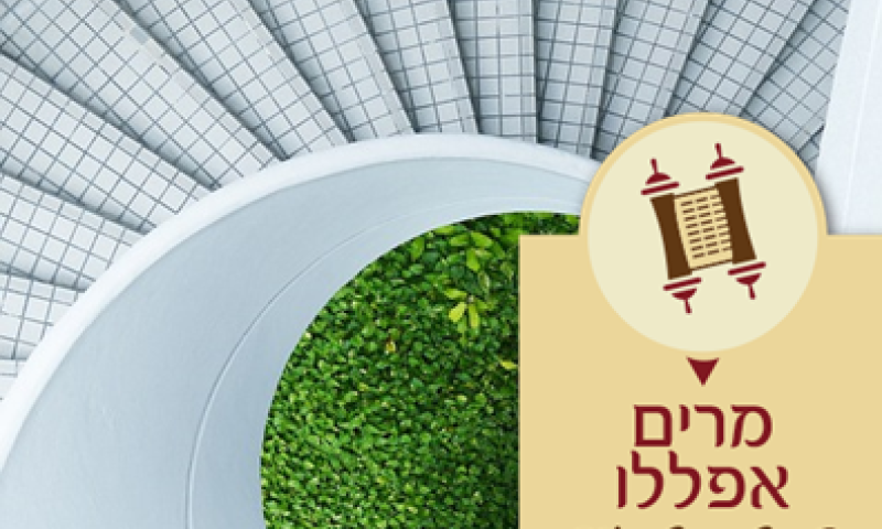 מרים אפללו על פרשת כי תשא