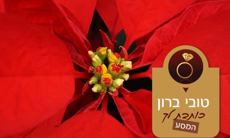 המסע פרק ח' - &ldquo;וזכנו שנרגיש כוונת רצונך הטוב&rdquo;