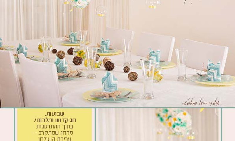 עורכת שולחן/ רוחמי קליין