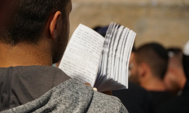 מרגש: בואו לראות את העם הכי יפה בעולם | אור ביטון