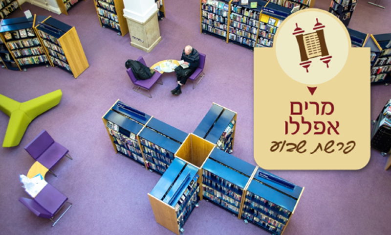 מרים אפללו על פרשת השבוע: פרשת פקודי