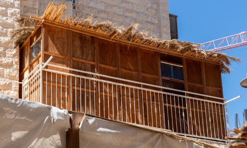 סיפור מיוחד לסוכות: הנחתה לנחת | מיכל בורשטיין