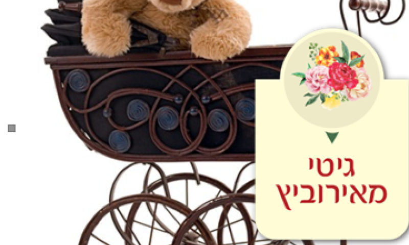 גיטי מאירוביץ: הילדים שלנו חכמים מאוד! ותנו לי אמא שתתווכח על האקסיומה הזו עד ש...
