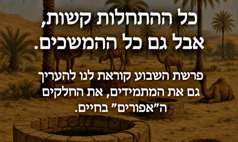להצדיע לממשיכים / סיון רהב-מאיר