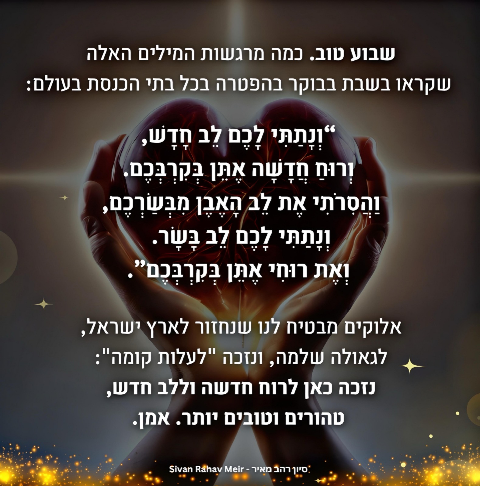 סיון רהב מאיר