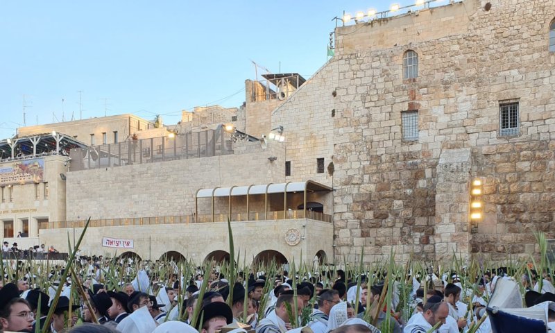שיתוף אישי ומתכון לתוספת / מירי שניאורסון