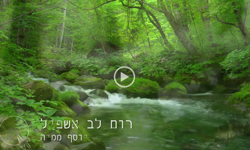 יוסף ממיה מגיש: קאבר מרגש במיוחד "רום לב אשפיל"