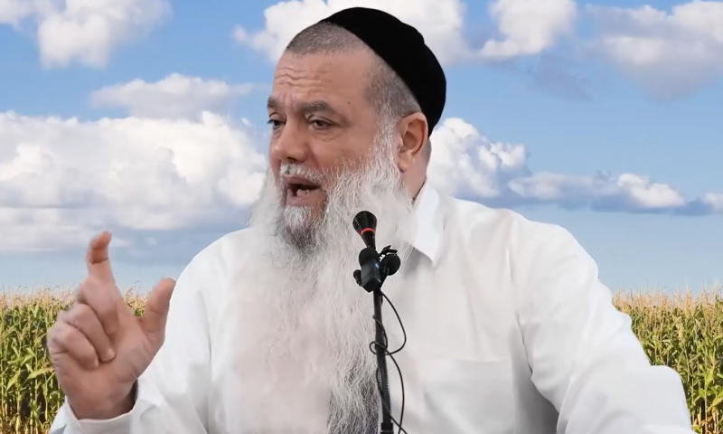 בזיון אחד מסדר לך את החיים | הרב יגאל כהן