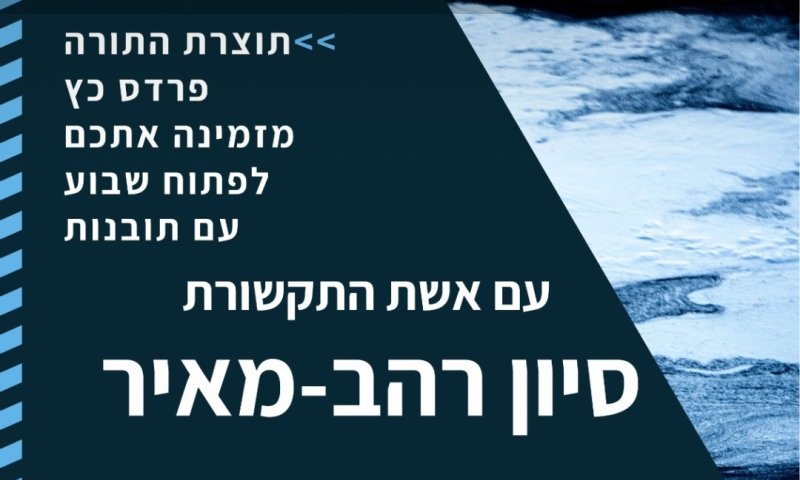 בעוד פחות משעה ZOOM IN עם סיון רהב מאיר לפתוח שבוע עם תובנות מיוחדות>>>